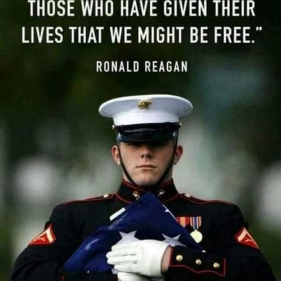 Meet your Posher, Chelsea - Picture 5 of 6